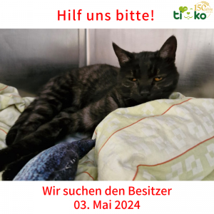 Fundtier Björnout Fundtier Björnout